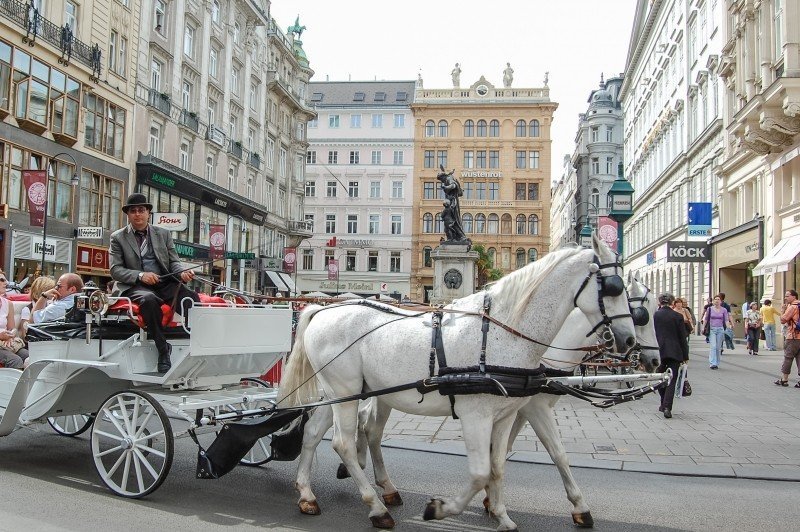 cab-cart-horses-vienna-austria-travel.jpg cab-cart-horses-vienna-austria-travel.jpg