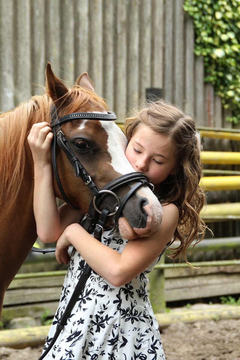 horse riding.jpg horse riding.jpg